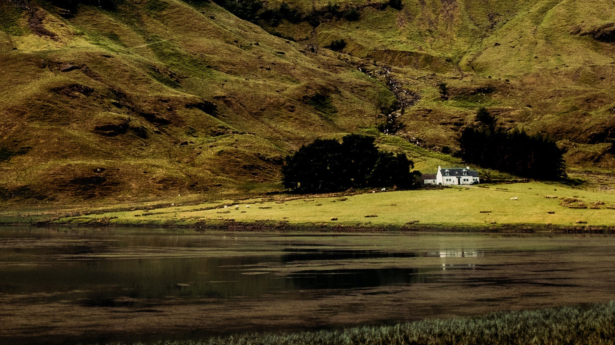 Bring Your City Style To The Countryside