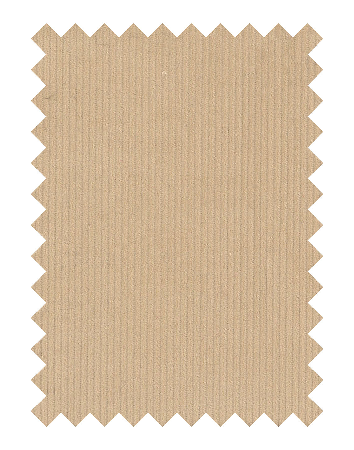 Corduroy Swatch 501652