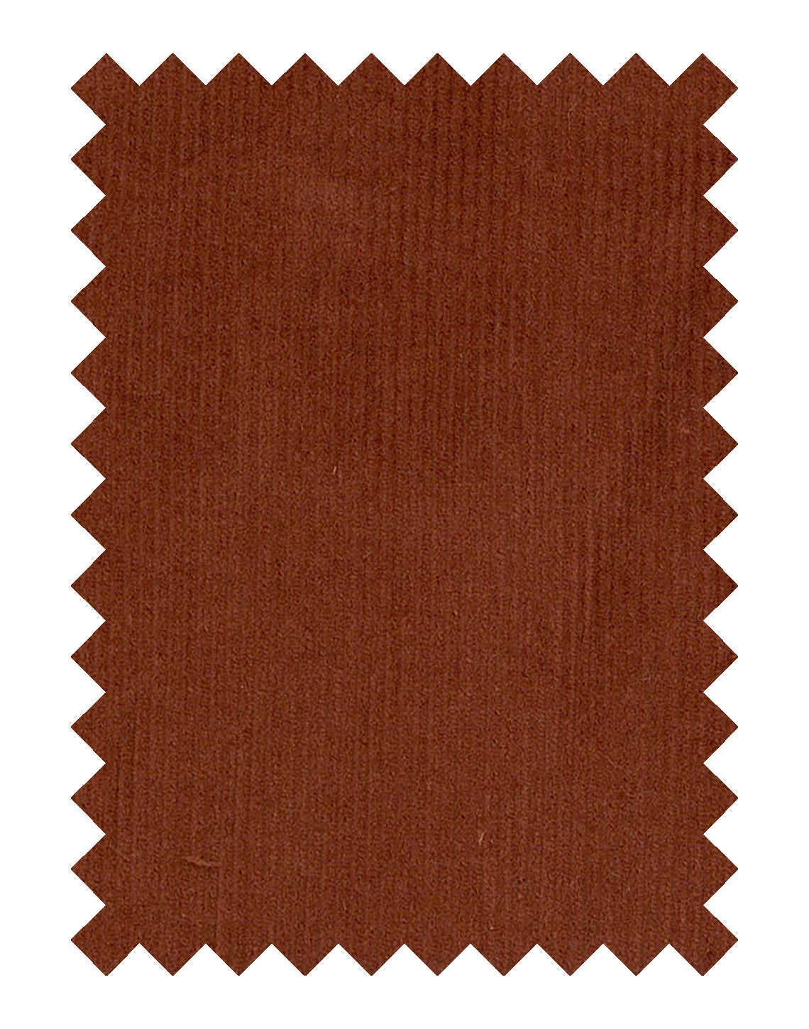 Corduroy Swatch 501654