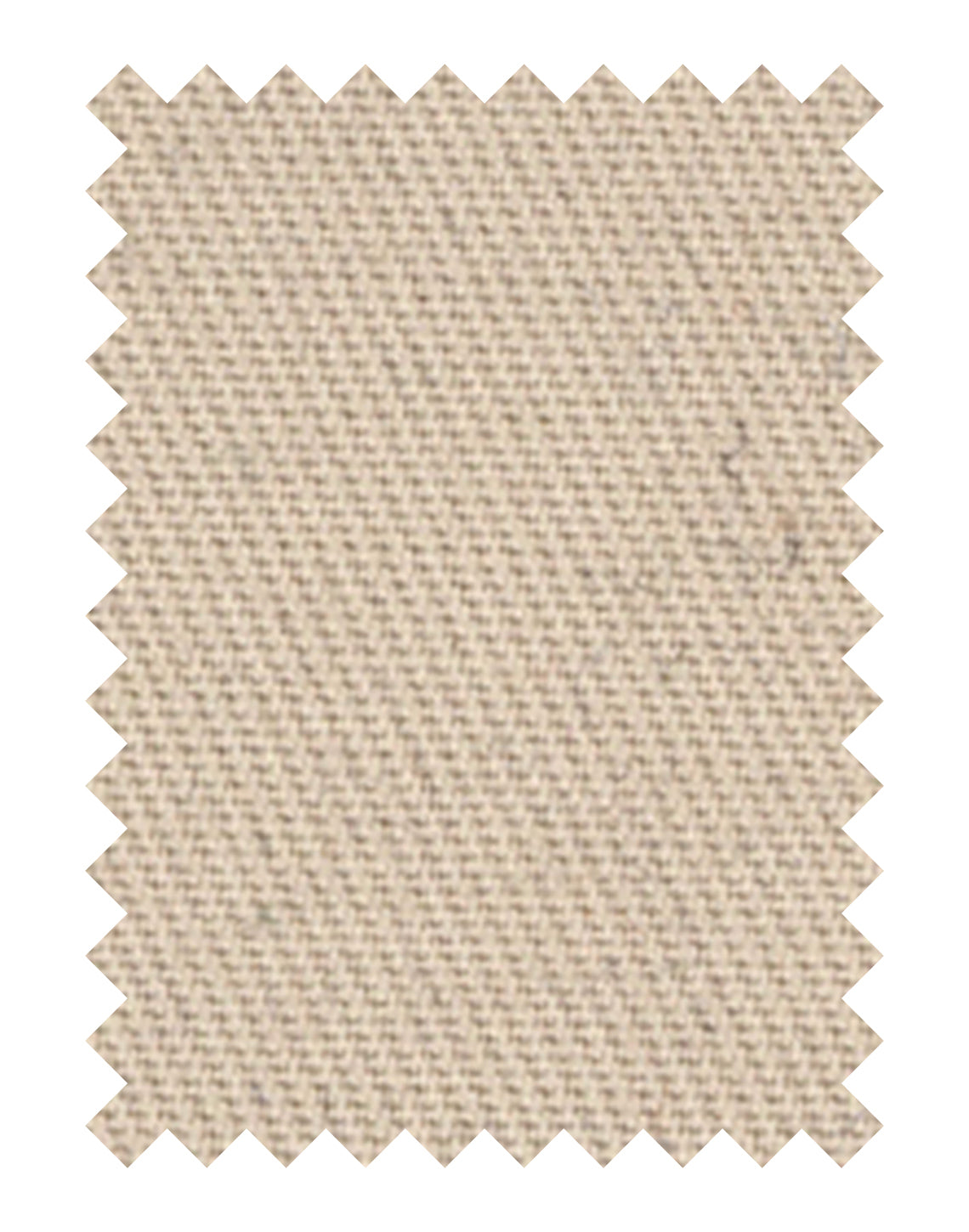 Cashmere Cotton Swatch 501681